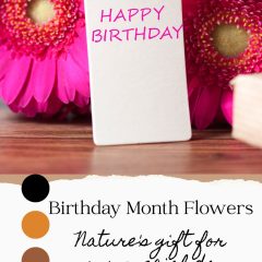 Birthday Month Flowers: Nature’s Gift for Your Special Day